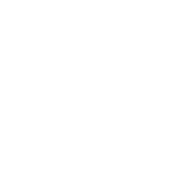 AI & Software Engineering 