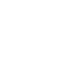 Data Mapping & Transformation 