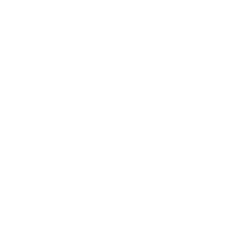Data & Interoperability 