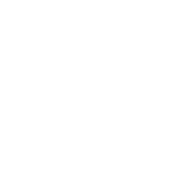 HL7 & FHIR Expertise 