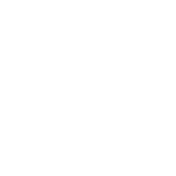 Healthcare AI Expertise