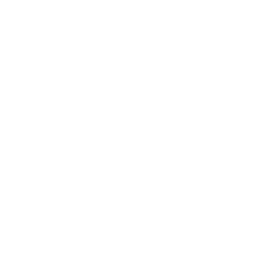 Healthcare API Integration 
