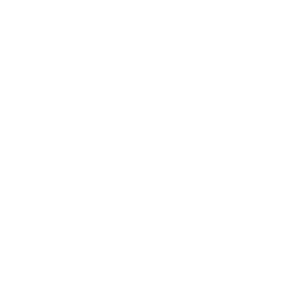 Healthcare Integration Expertise 