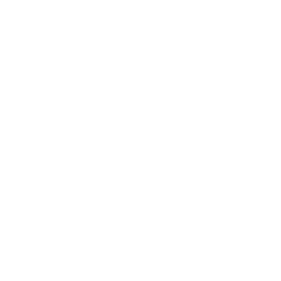 Healthcare System Integration 