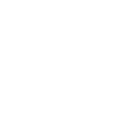 Human-in-the-Loop 