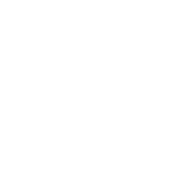 Multi-Agent Architecture 