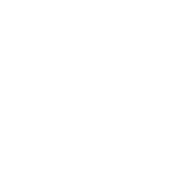 Scalable Interoperability Architecture 