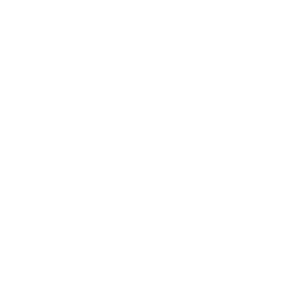 Secure AI Development 