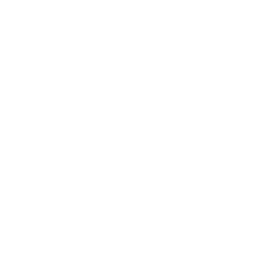 Workflow-Centric Approach 
