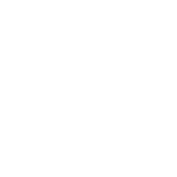 Business-Aligned Engineering 