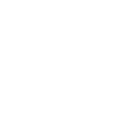 Cross-Functional Engineering Expertise 