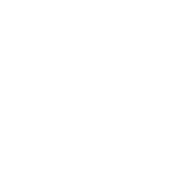 Compliance & Security Governance 