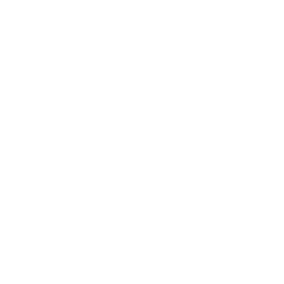 Governance & Human Oversight 