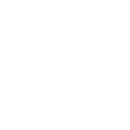 AI & Software Engineering 