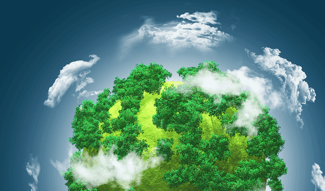 Our Sustainability Initiatives