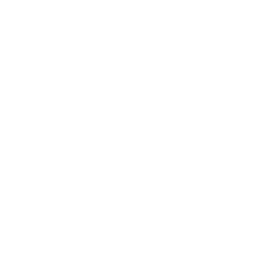 Healthcare AI Integration 