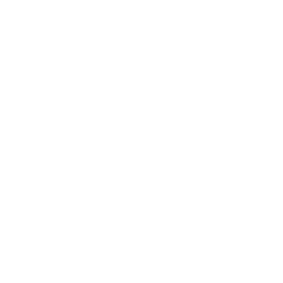Healthcare Data Expertise