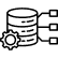 Data Processing & Transformation