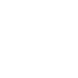 Healthcare Software Engineering