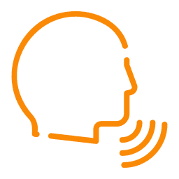 Interactive voice and communication systems
